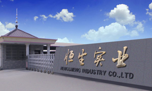 摩托車鏈條廠_摩托車鏈條_工業(yè)鏈條_滾子鏈條_鏈條廠家-江山市恒生實業(yè)有限公司